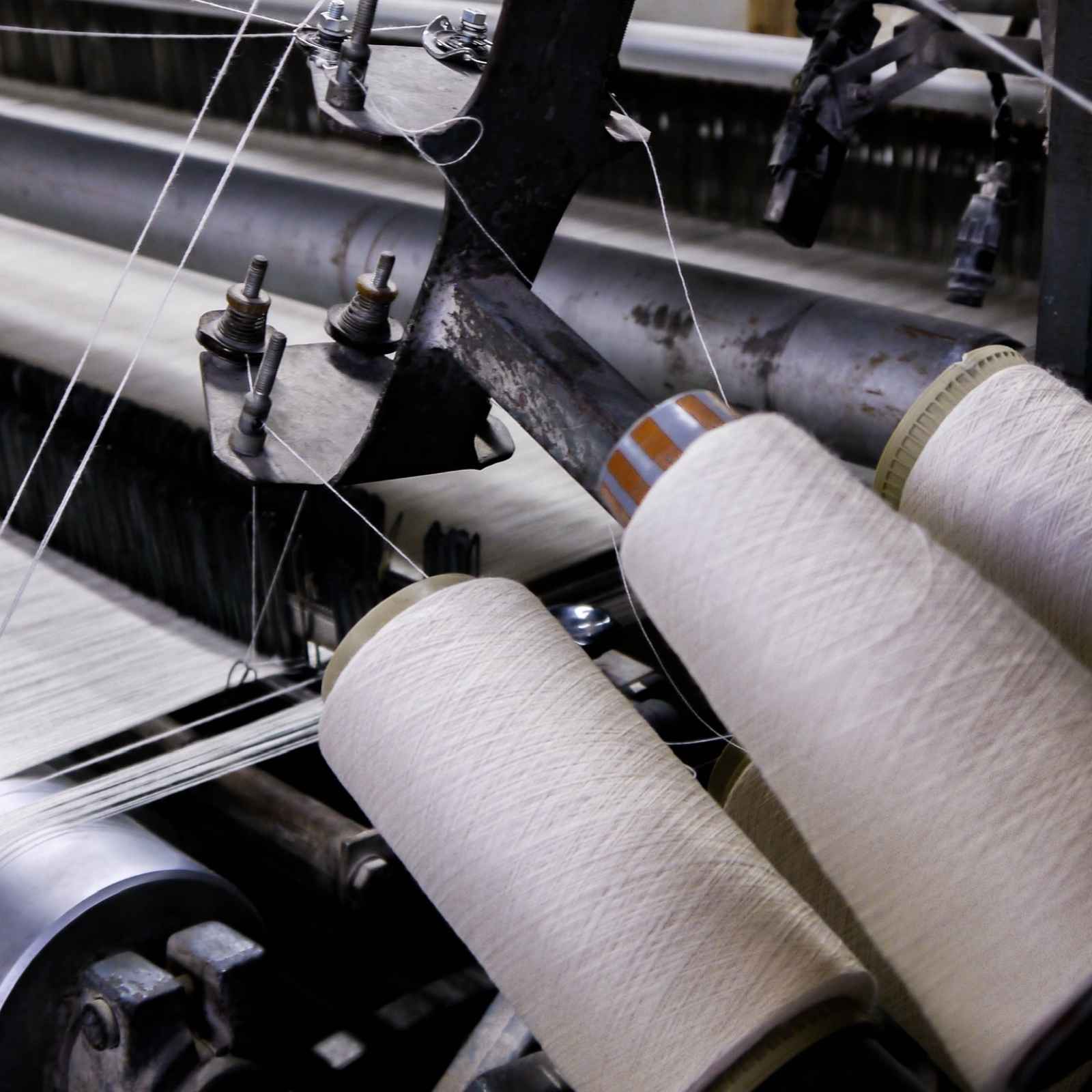 Mehrere weiße Garnrollen, die an einer mechanischen Webmaschine befestigt sind, mit gespannten Fäden, die in den Webprozess eingespeist werden